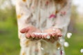 A close-up of a girl palm blows off a handful of white petals that fell from a flowering tree. Attractive young girl with flowers Royalty Free Stock Photo