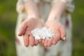 A close-up of a girl palm blows off a handful of white petals that fell from a flowering tree. Attractive young girl with flowers Royalty Free Stock Photo