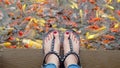 Close Up on Girl`s Feet Wearing Silver Sandals and Red Nails with Fancy Carp Swimming in The Pond Background Royalty Free Stock Photo