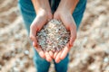 Close-up of a girl\'s hands holding beach sand with micro plastics. Concept of environmental care Royalty Free Stock Photo