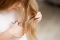 close up. girl shears her long hair with scissors on a white background. haircut Royalty Free Stock Photo