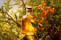 Close-up of a glass bottle with sea buckthorn oil and cork against the backdrope of branches and orange ripe berries of the tree.