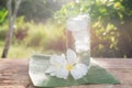 Close up glass of cold water with ice on table with blur garden Royalty Free Stock Photo