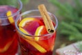 Close-up of a glass of hot mulled wine garnished with a cinnamon stick. New Year`s drink Royalty Free Stock Photo