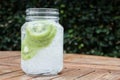 Close-up glass of iced kiwi soda drink