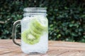 Close-up glass of iced kiwi soda drink