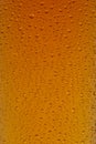 A close up of a glass of Indian Pale Ale Royalty Free Stock Photo