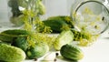 Close-up glass jars,fresh cucumbers,dill,garlic and black pepper on a white plate.Ingredients for canning,pickling or fermenting