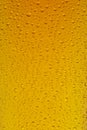 A close up of a glass of Lager Royalty Free Stock Photo