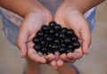 Village Childhood Games - Glass Marbles Royalty Free Stock Photo