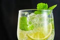 Close-up glass of mojito cocktail with ice on a dark background. Macro photography Royalty Free Stock Photo