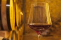 Close-up a glass with red wine in a wine cellar Royalty Free Stock Photo
