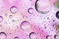 Close-up on glass with water drops background on pink surface. Water droplets with reflections in them Royalty Free Stock Photo
