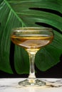 Close-up of glass of whiskey sour, on white marble table, selective focus, background with green leaf on black, vertical, Royalty Free Stock Photo