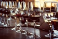 Close up of glasses of wine during a wine tasting Royalty Free Stock Photo