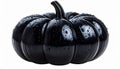 Close Up of Glossy Black Pumpkin with Water Droplets on White Background Royalty Free Stock Photo