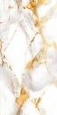 Close-up of glossy marble surface with white and gold veins Royalty Free Stock Photo