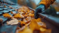 Close-up of a gloved hand cleaning autumn leaves from a rain gutter Royalty Free Stock Photo