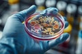 Close up of gloved hand holding petri dish with bacterial culture Royalty Free Stock Photo