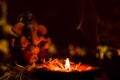 Close up of glowing earthen lamp against blurry ganesha statue with dark background. hinduism concept