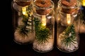 Close up of glowing lights decoration of glass jars with corks inside which there are small green Christmas trees on artificial