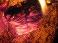 Glowing coals in the hearth close-up. Smoldering coals and flames