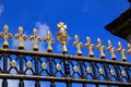 Close-up of the gold and black fence, railings of Buckingham Palace, London, UK