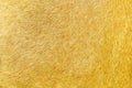 Gold cow fur texture in patterns seamless vintage background Royalty Free Stock Photo