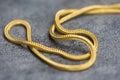 Close up a Gold Necklaces, Jewelry Royalty Free Stock Photo