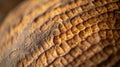 Close-Up of Golden Brown Bread Crust Texture Royalty Free Stock Photo