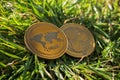 Close up of golden brown ripple coins in nature laying in the grass. Shining cryptocurrency ripple XRP on the daylight. New mode