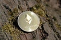 Close up of golden coin ethereum on mossy bark background