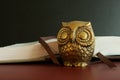 Close up of a golden figure of an owl in front of an open book.