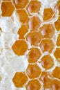 Close-up of golden honeycomb full frame from above honey