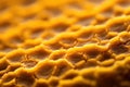 Close-up of golden honeycomb texture