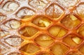 Close-up of golden lattice apple pie with custard and powdered sugar