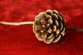 Close-up on a golden pine cone on a red velvet as festive table ornament for Hanukkah or Christmas