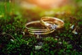 Close up - golden rings of bride and groom lie on a green grass. Macro photography, blurred backdrop. Wedding rings on moss Royalty Free Stock Photo