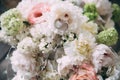 Close-up golden rings of newlyweds on flowers. A wedding bouquet of beautiful and fresh peonies lies on a wooden vintage Royalty Free Stock Photo