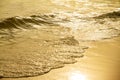 Close up golden sea wave on the sandy beach at sunset. Royalty Free Stock Photo
