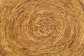 Close up of the golden Straw bale in summer