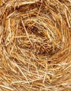 Close Up of Golden Straw Bale with a Swirled Pattern in Rural Setting Royalty Free Stock Photo