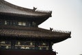 Close-up of the golden tiles detail of the rooftops of The Forbidden City, Beijing, China