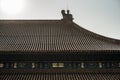 Close-up of the golden tiles detail of the rooftops of The Forbidden City, Beijing, China