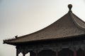 Close-up of the golden tiles detail of the rooftops of The Forbidden City, Beijing, China