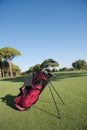 Close up golf bag on course Royalty Free Stock Photo