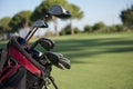 Close up golf bag on course Royalty Free Stock Photo