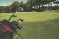 Close up golf bag on course Royalty Free Stock Photo