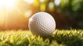 Close-up of a golf ball resting in lush grass at sunset on a warm summer evening Royalty Free Stock Photo