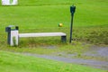 Close up - Golf ball station for washing dirty golf balls. Nice green background Royalty Free Stock Photo